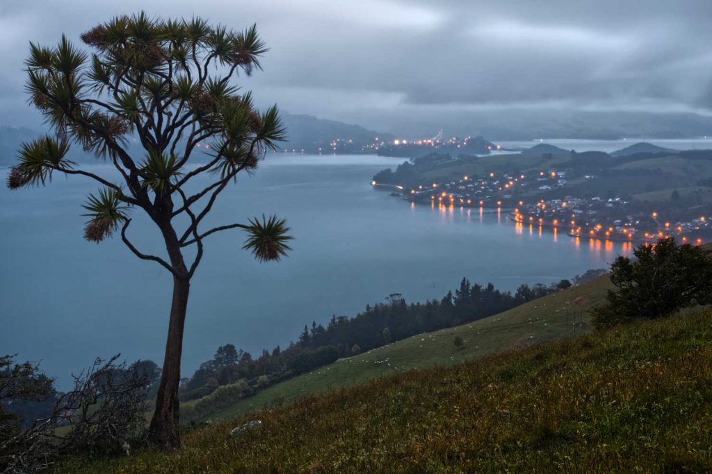 Otago Peninsula, New Zealand