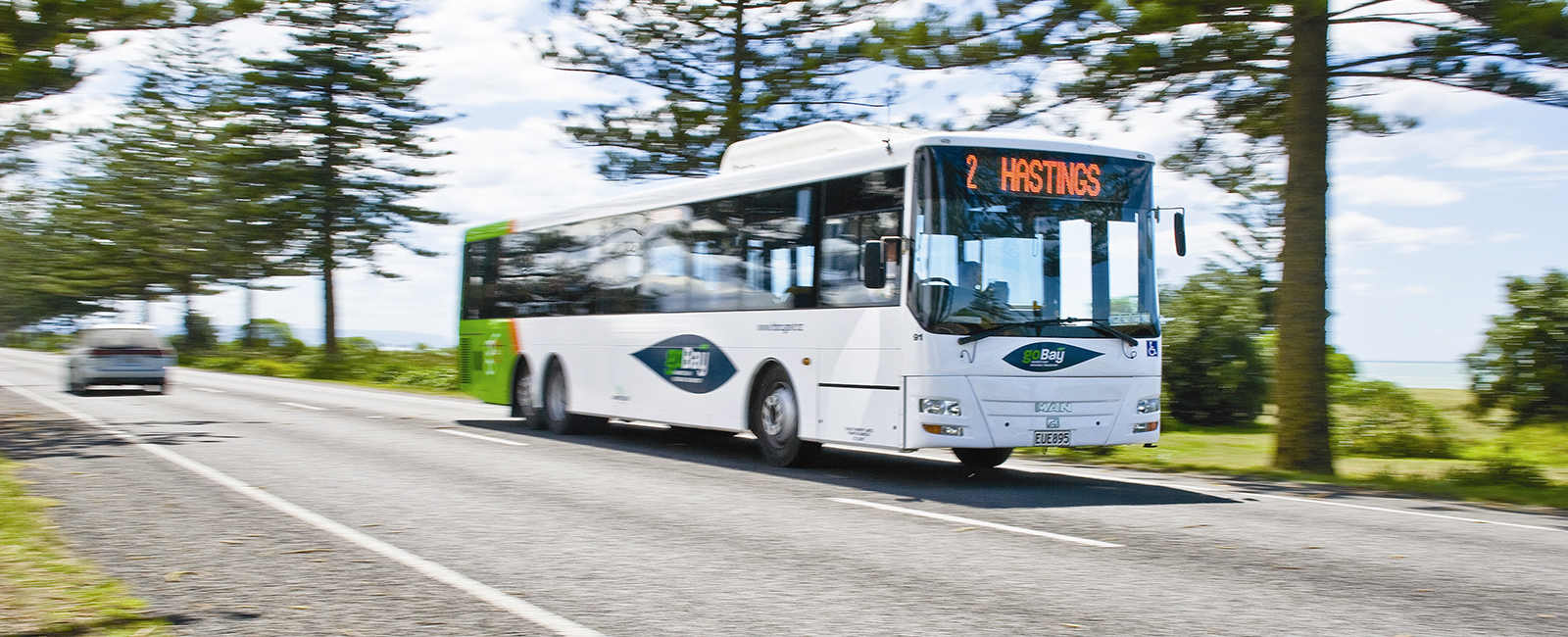 Public Transport Services in Hawke's Bay, New Zealand @Hawke's Bay NZ