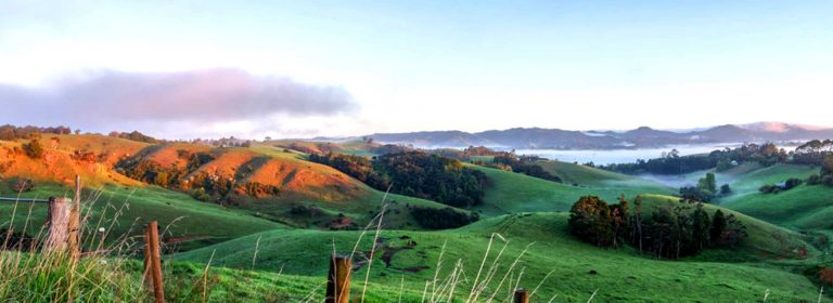 Rural landscape panoroma Warkworth, north of Auckland, North Island, New Zealand NZ