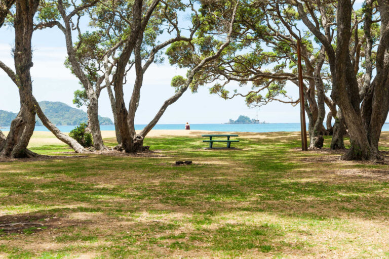 Shadows and swing under pohutukawa trees along beachfront provide a typical New Zealand beach scene Oakura Bay, Northland New Zealand