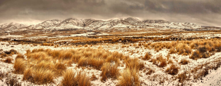 Snow covered tussock grass, winter snowstorm on Hawkdun Range, panorama near St Bathans, Central Otago, New Zealand