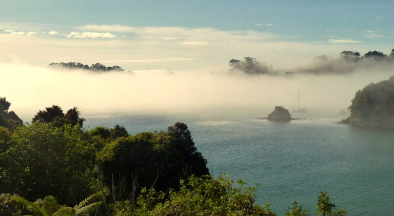 Stewart Island in fog, New Zealand