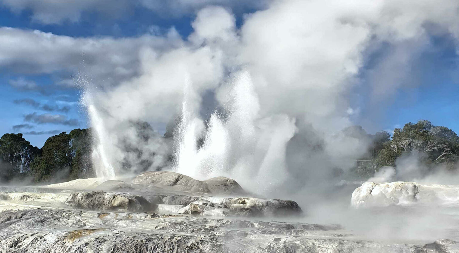 Te Puia plumbs of super heated water from geysers, Rotorua, NZ