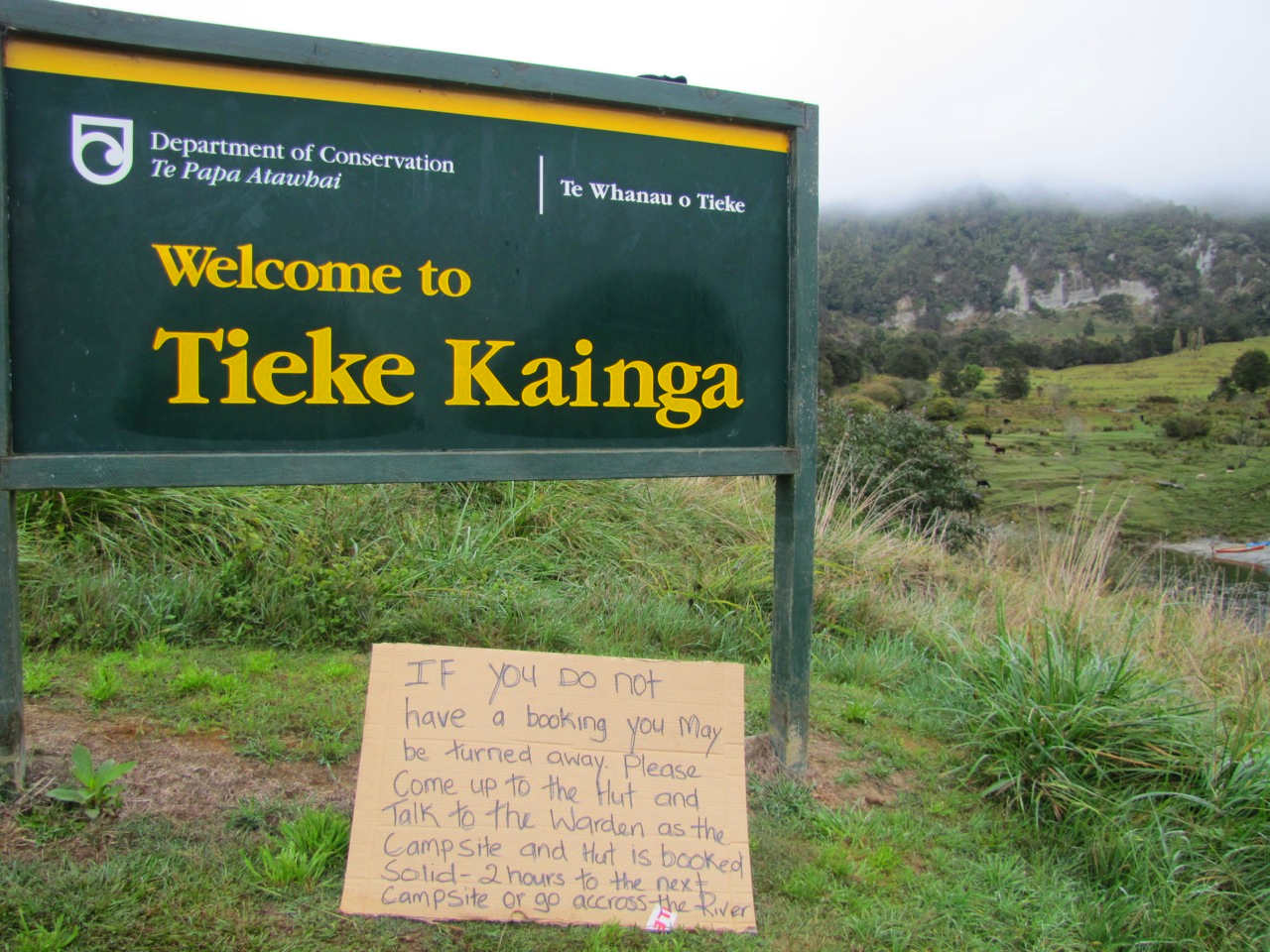 Tieke Kainga, New Zealand @Freeds in New Zealand