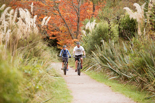 Tongariro River Trail @Ride NZ
