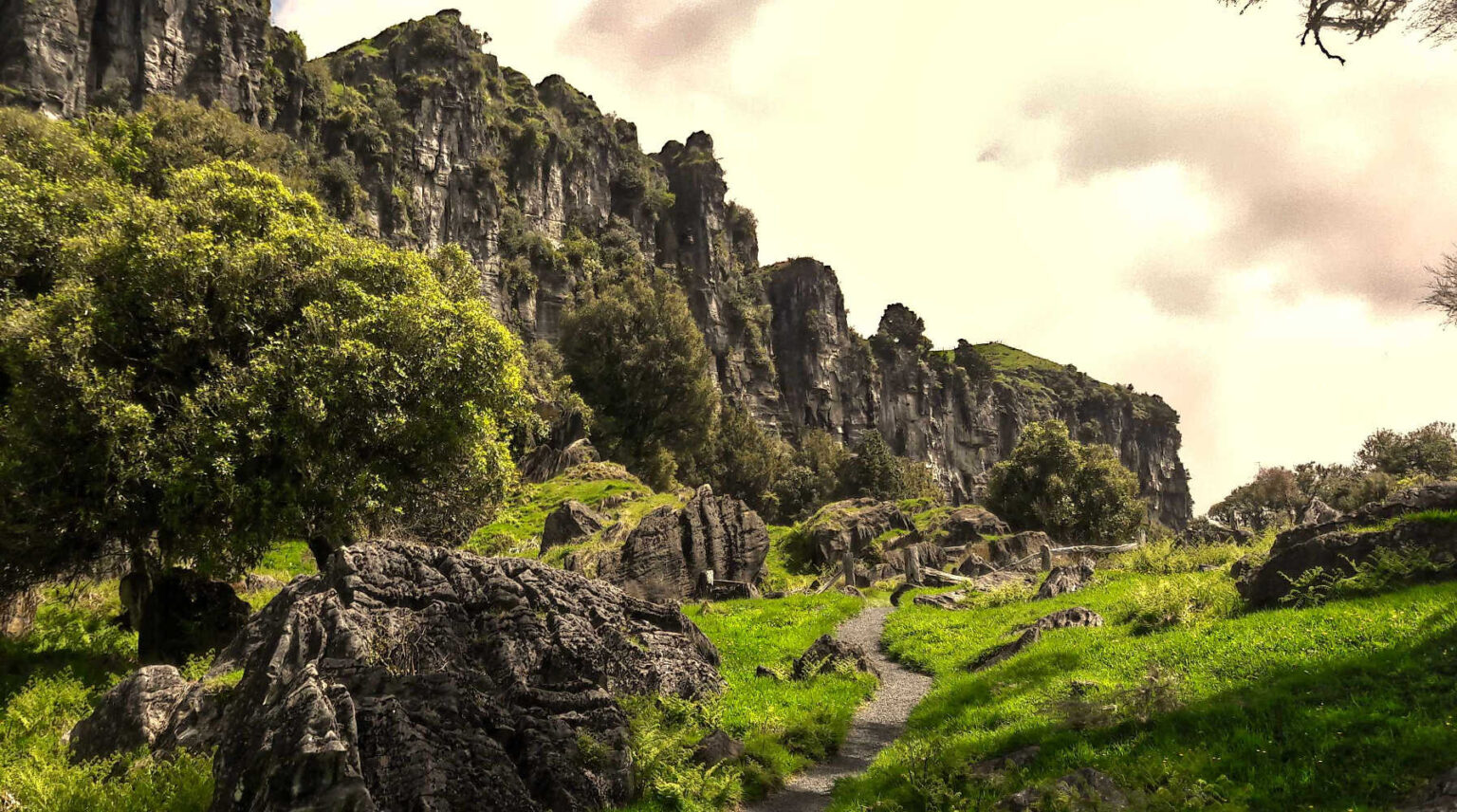 Trollshaw cliffs, Piopio now called Hairy Feet Waitomo was used in The Hobbit movies, New Zealand