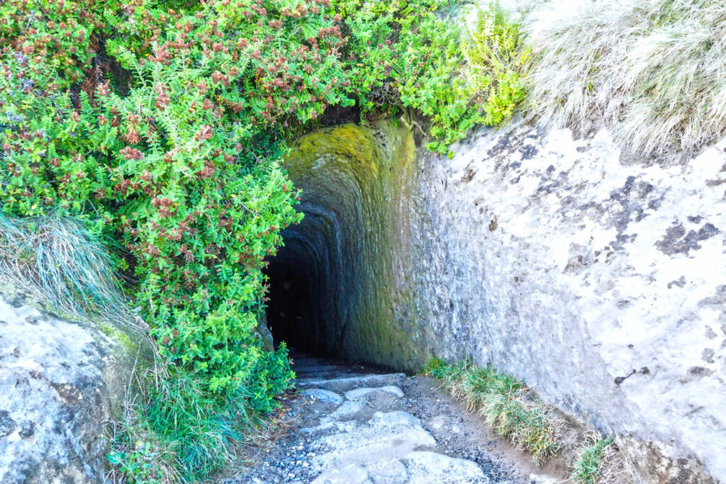 The tunnel towards the beach at the Tunnel Beach, Dunedin, Otago, New Zealand