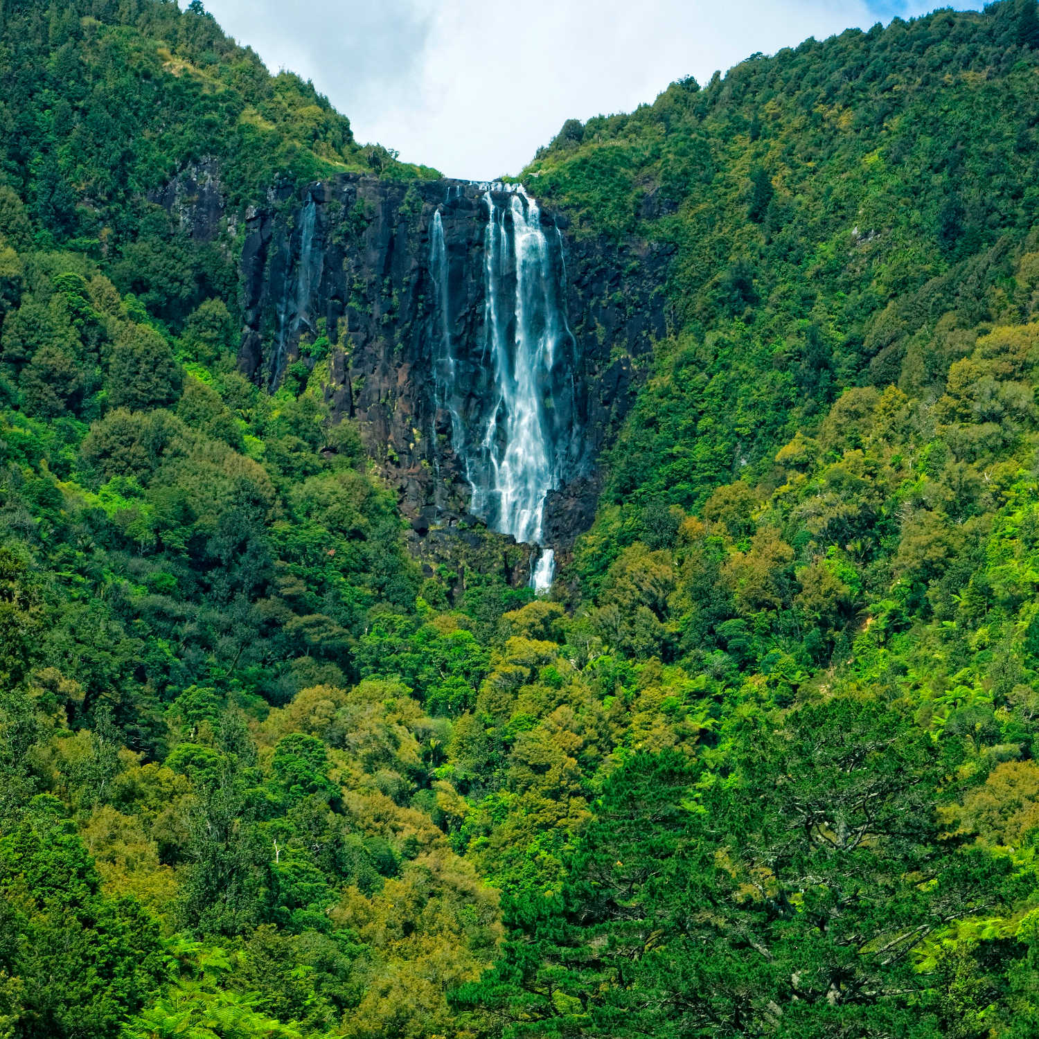 Wairere Falls, Walking Trails, New Zealand @Hamilton & Waikato