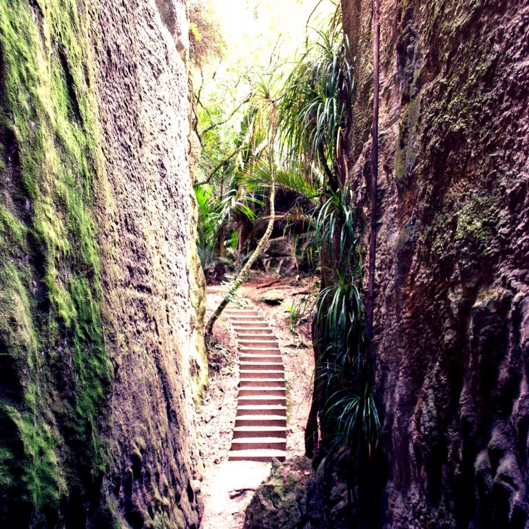 The Grove Scenic Reserve is a walking track which makes its way through a series of limestone canyons in Takaka, the Tasman District, New Zealand