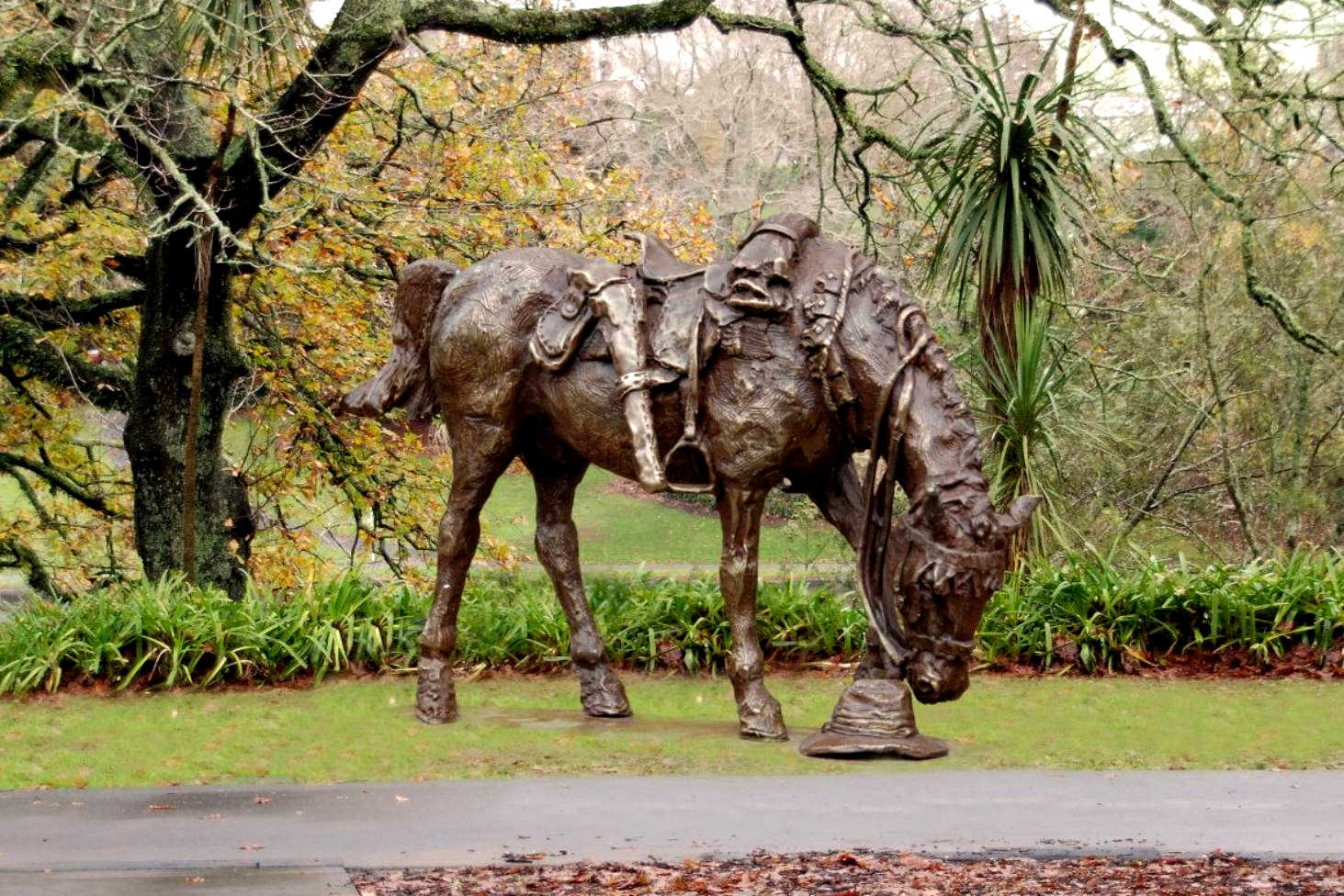 War Horse, New Zealand @Stuff