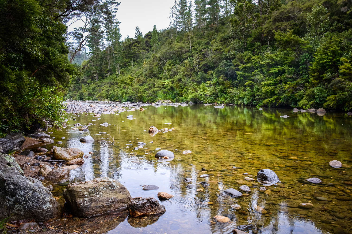 Broken Hills, Coromandel Forest Park, New Zealand @Wilderness Magazine