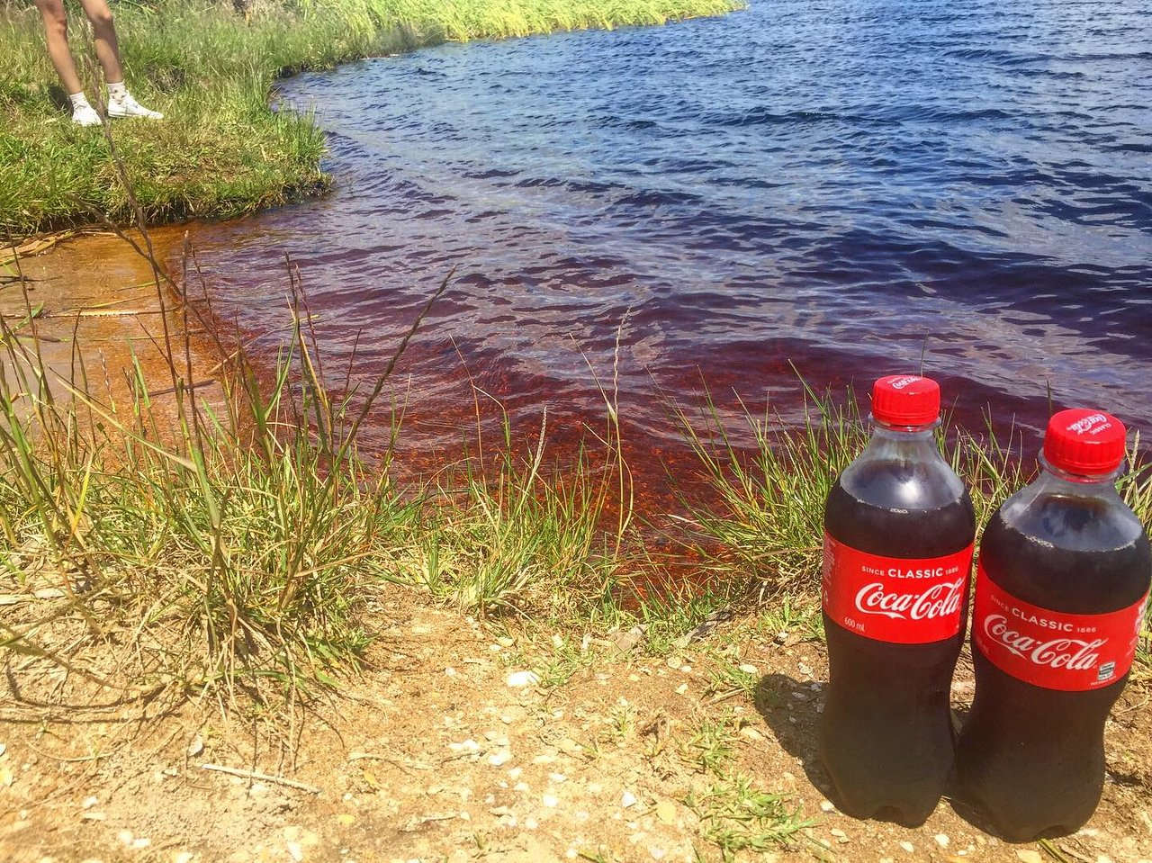 Coca Cola Lake (Karikari Peninsula), New Zealand @Tripadvisor