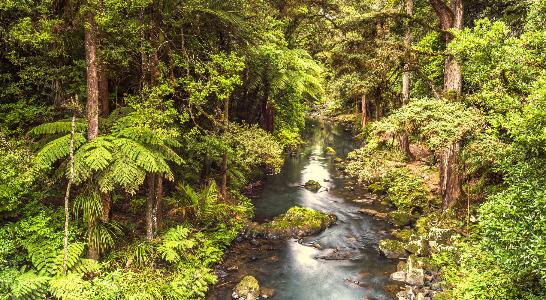Hatea River, Whangarei Falls, New Zealand