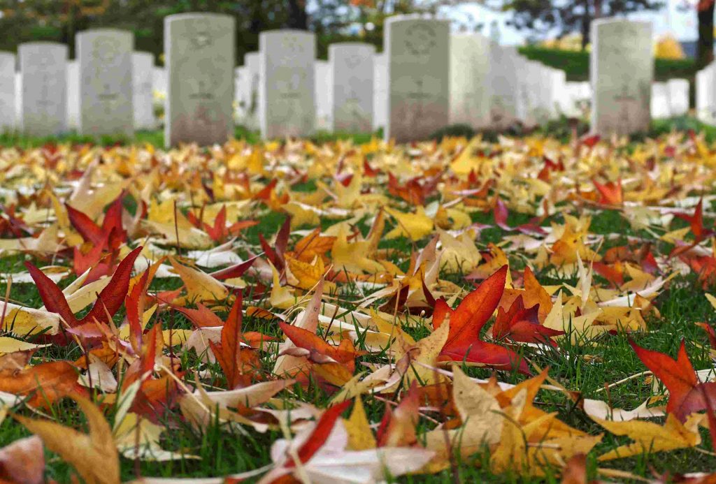 Military tombstones with autumn leaves, New Zealand