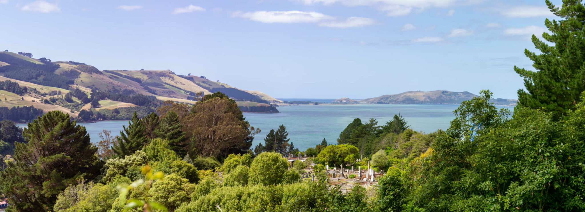 Panorama of Otago Harbour from hillside over cemetery in Port Chalmers, New Zealand