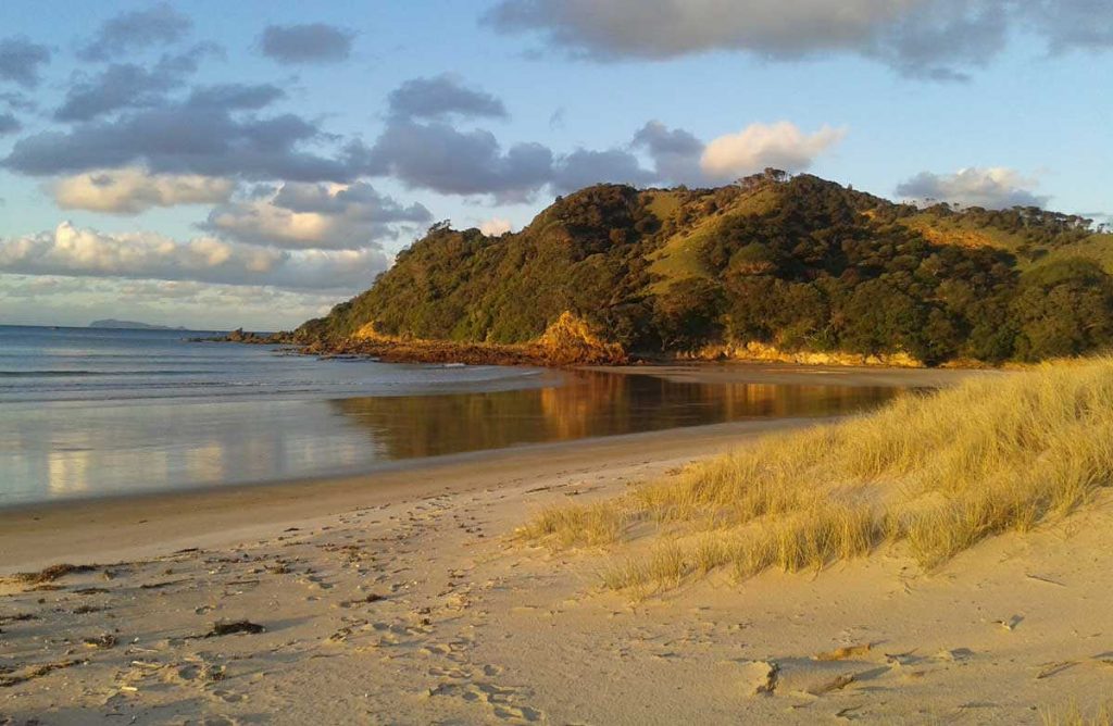 Waikawau Bay & Beach, New Zealand @Doc / Chris Twemlow
