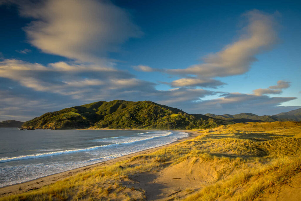 Waikawau Bay Beach sunrise, Coromandel, North Island, New Zealand
