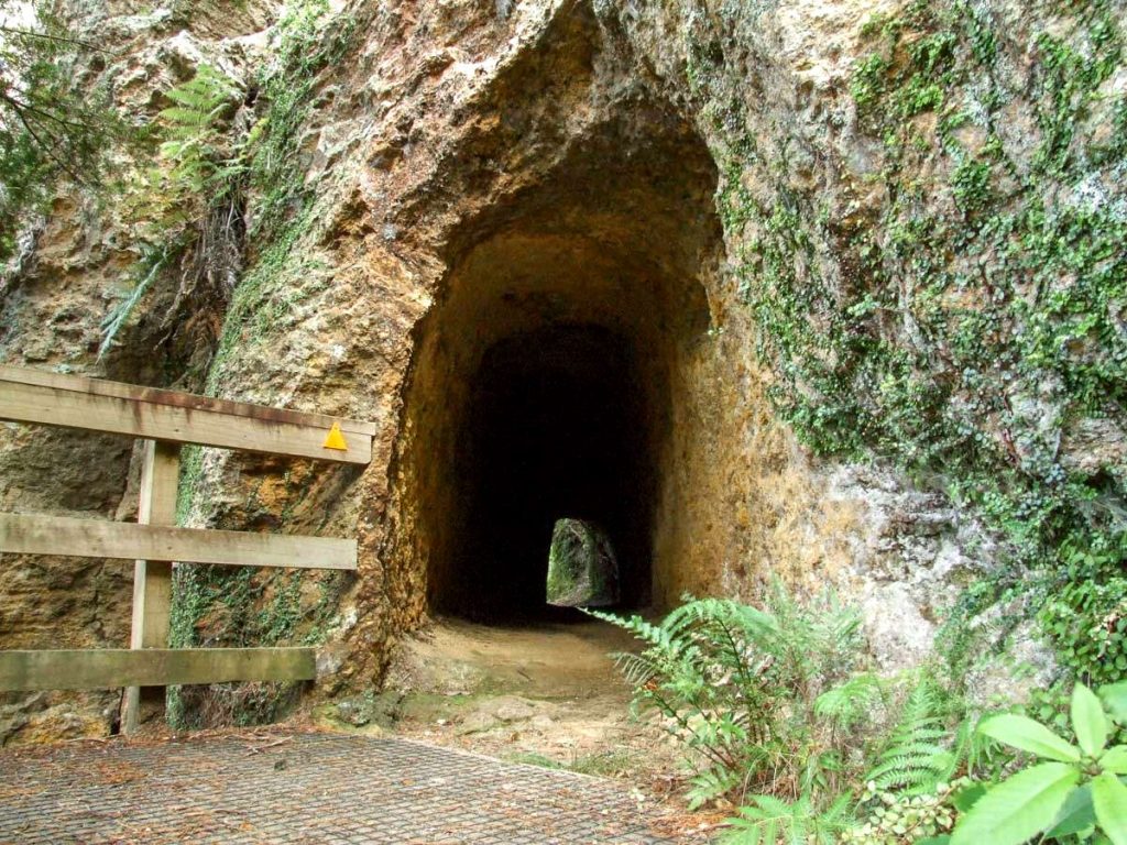 Water Race Tunnel Track, Coromandel, New Zealand @Freewalks