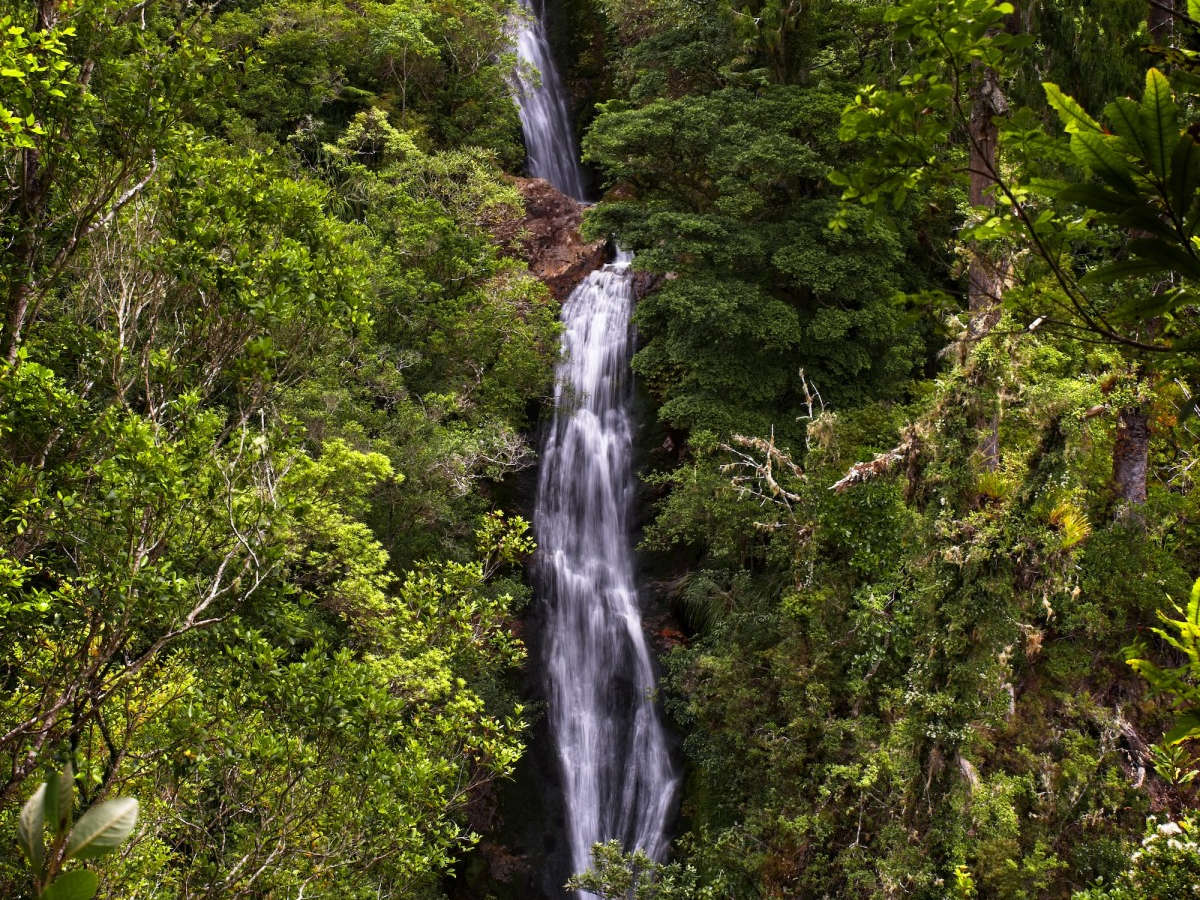 Wentworth Falls Walks, Coromandel, New Zealand @The Coromandel