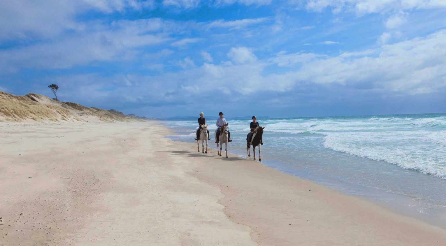 @Pakiri Beach Horse Rides NZ
