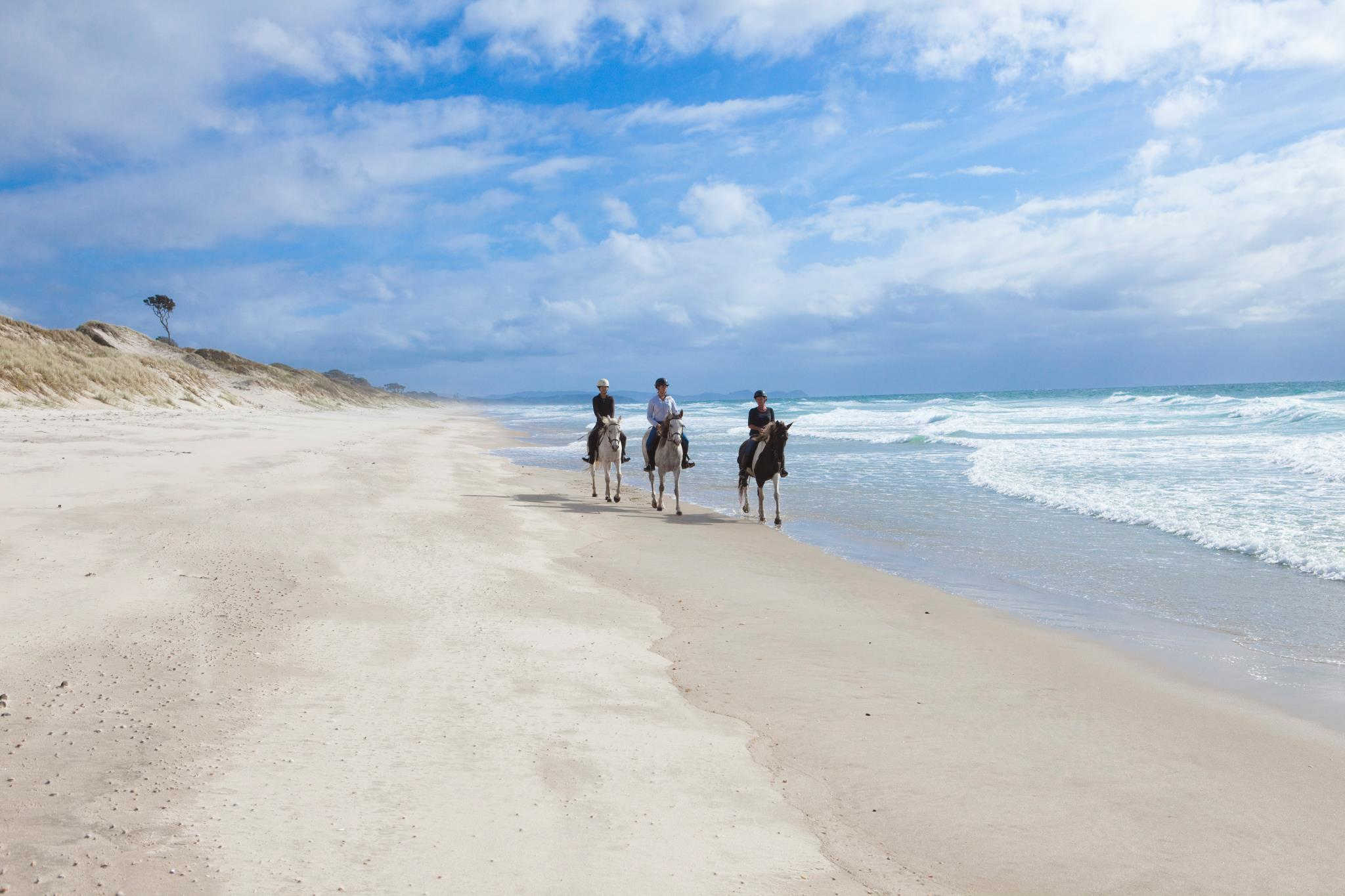 @Pakiri Beach Horse Rides NZ