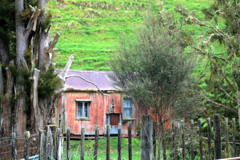 Abandoned farmhouse, Waikato hill country, North Island, NZ