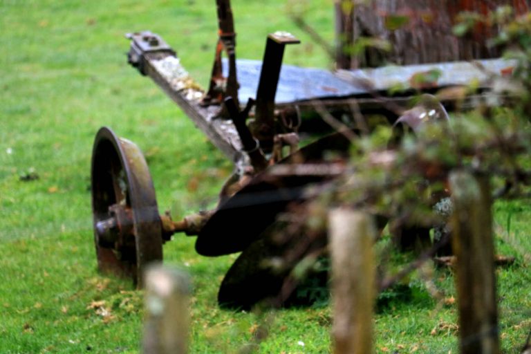 Agricultural equipment returning to nature, Waikato, NZ