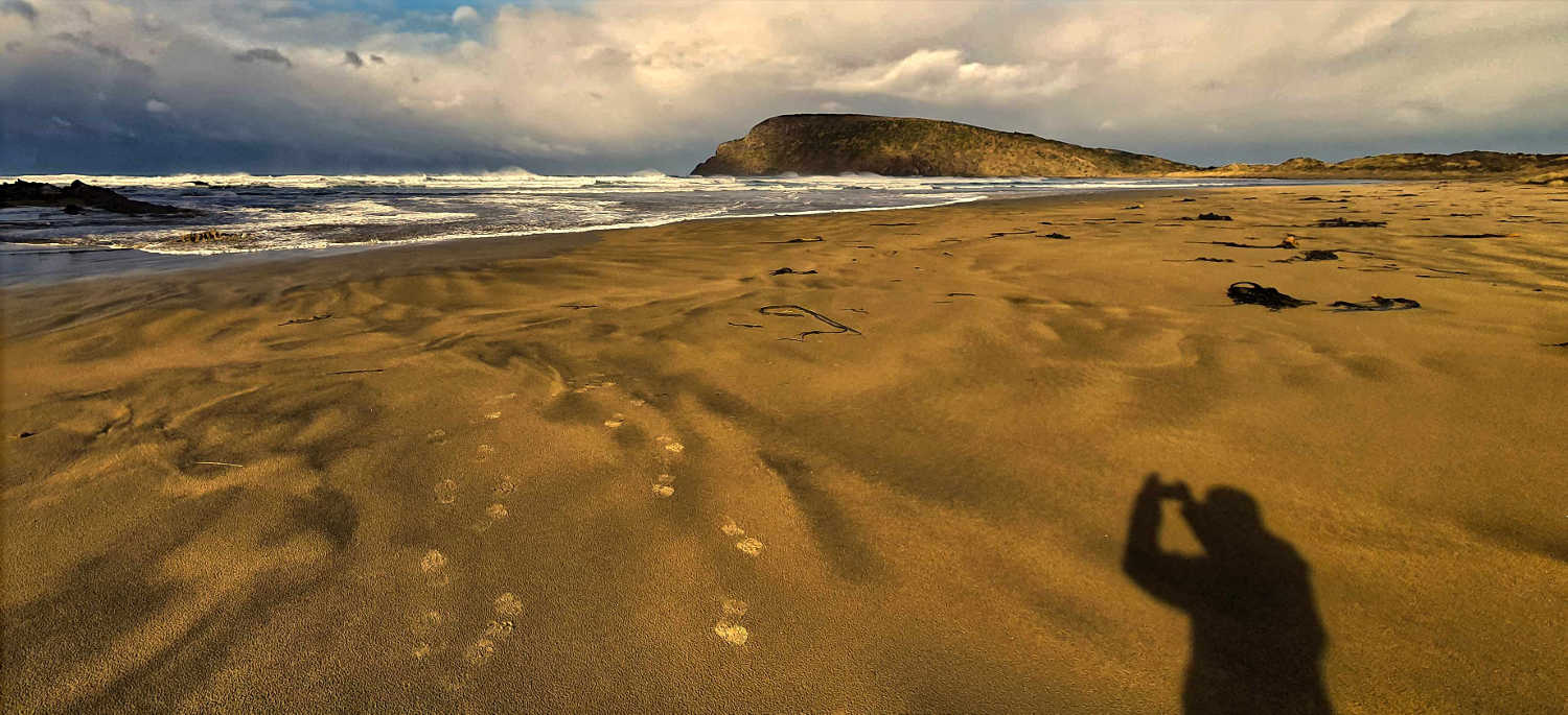 Cannibal Bay, only your own footsteps + sealions, The Catlins, New Zealand