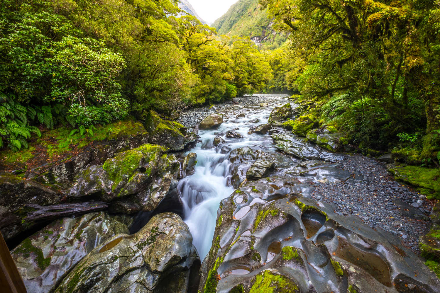 Chasm Fall, Fiordland National Park, Milford Sound