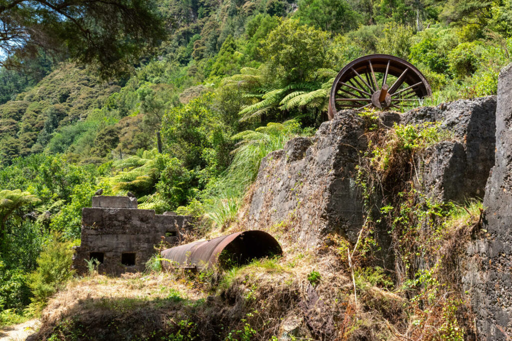 Economic decline, Gold mining relics being reclaimed by nature, Karangahake Gorge
