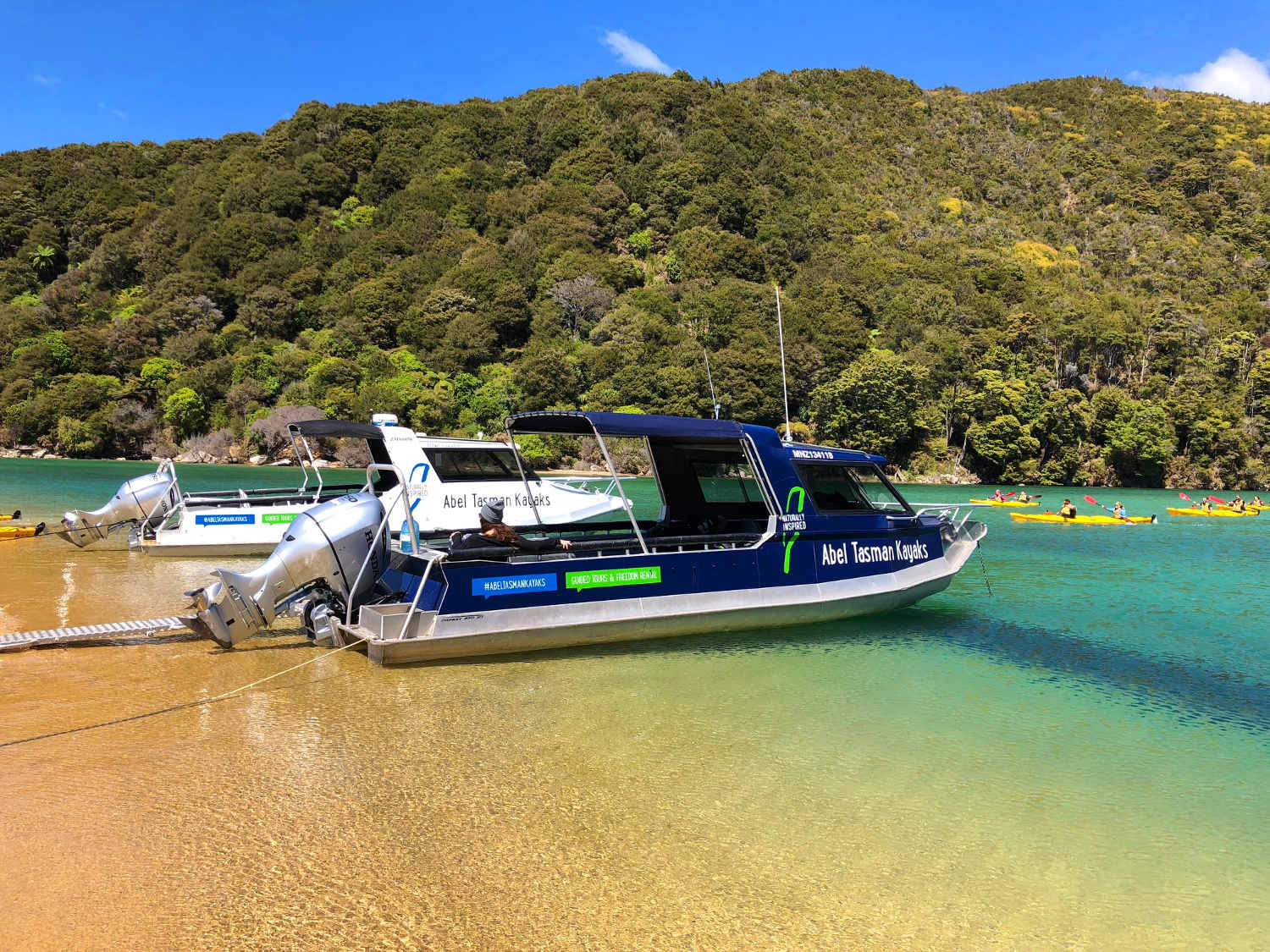 Kaiteriteri boat charter, New Zealand @nelsontasman