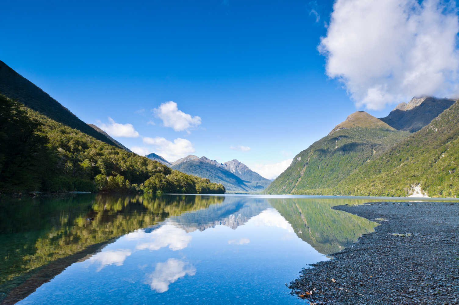 Lake Gunn, South Island, New Zealand