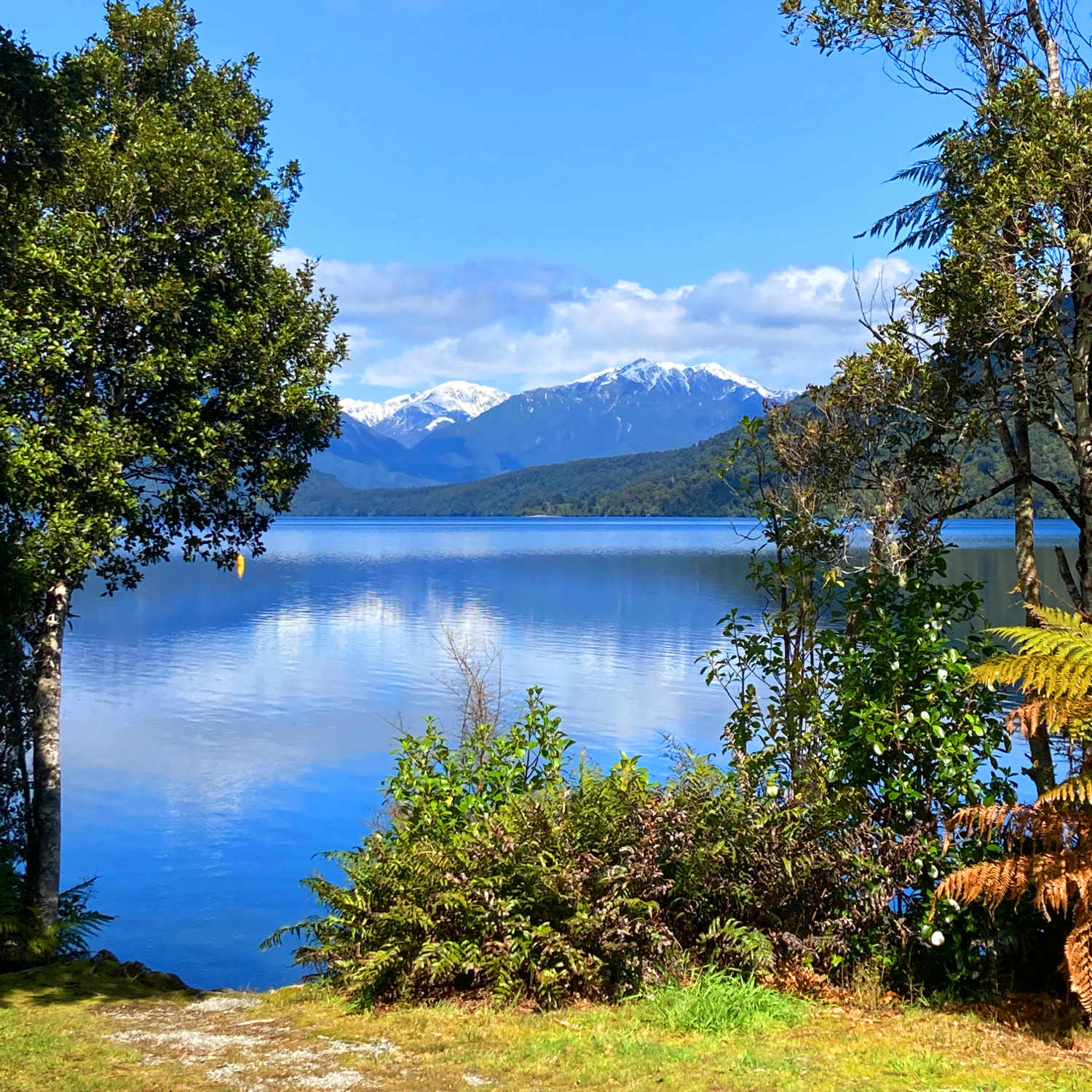 Lake Kaniere, New Zealand @Mike Dickison