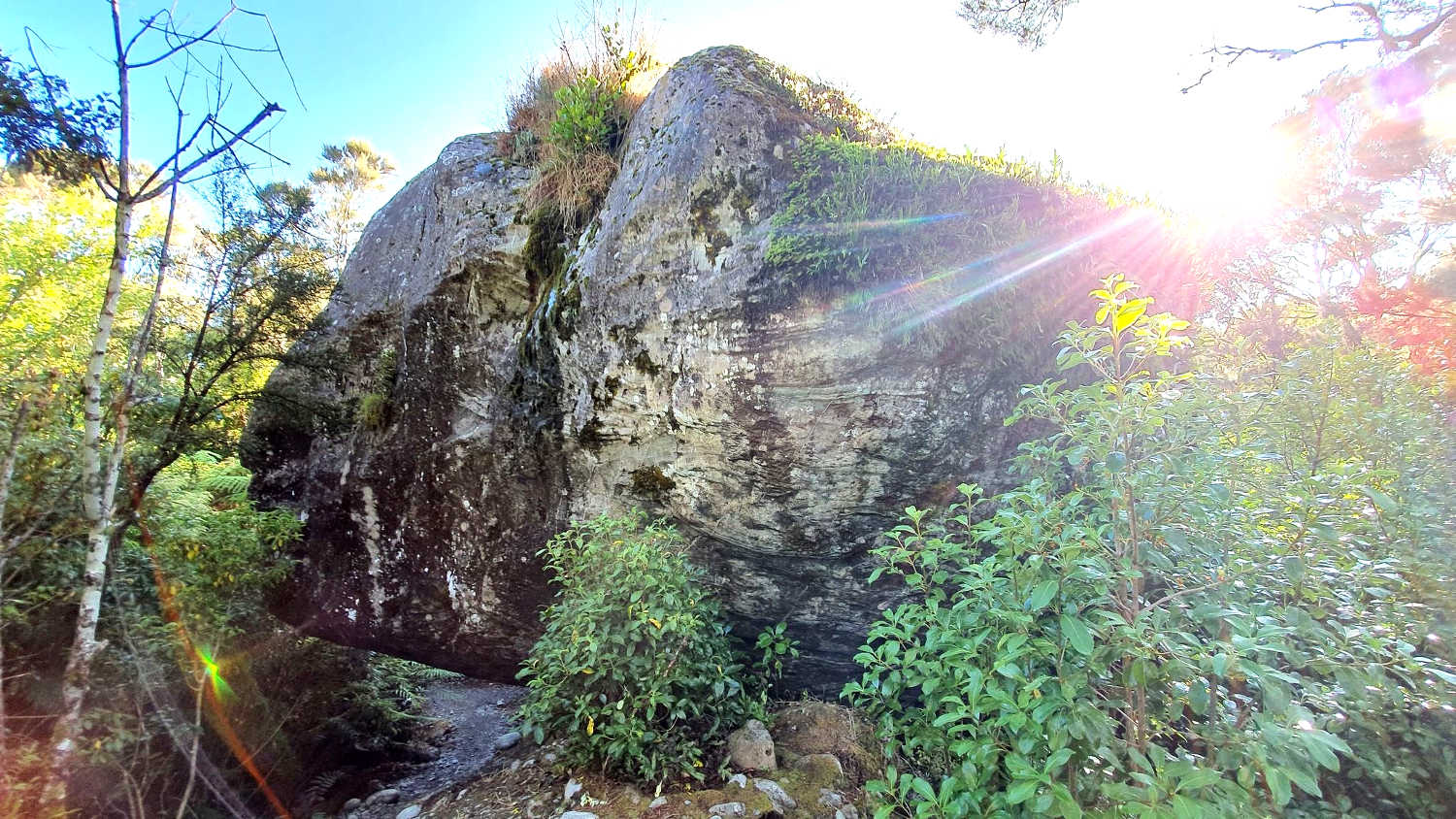 Londonderry Rock Trail, West Coast, New Zealand @AllTrails