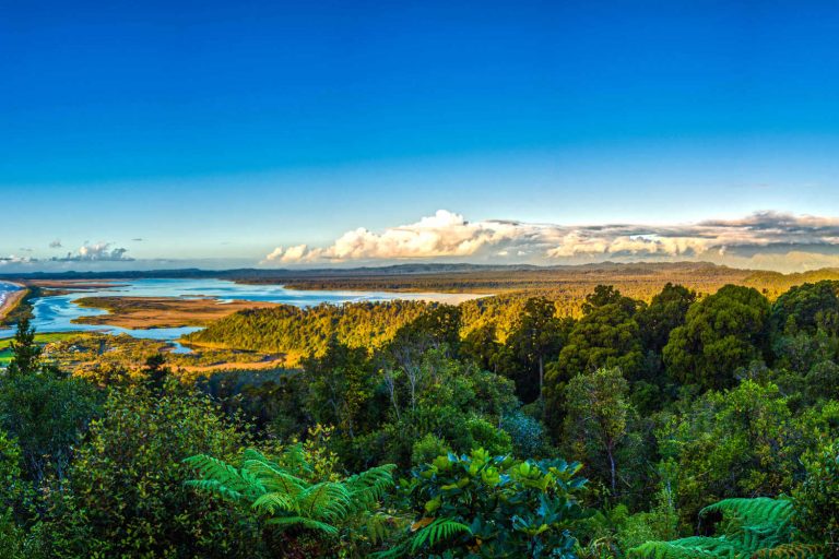 Stunning panoramic view from Okarito lookout to the native bush countryside, West Coast, New Zealand
