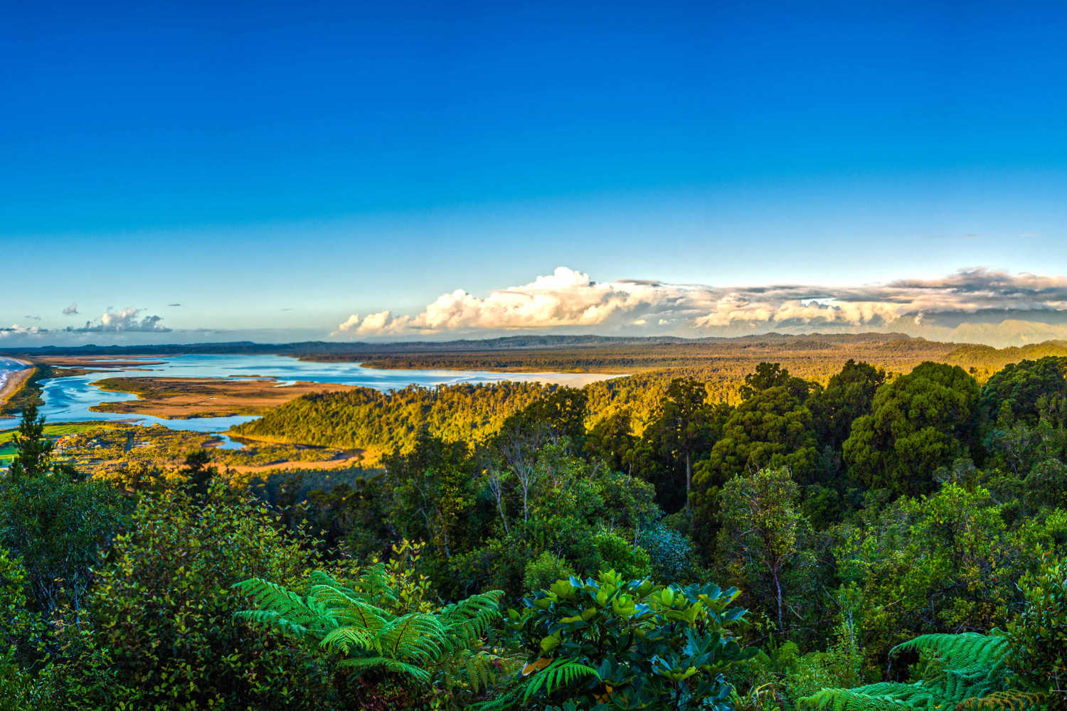 Stunning panoramic view from Okarito lookout to the native bush countryside, West Coast, New Zealand