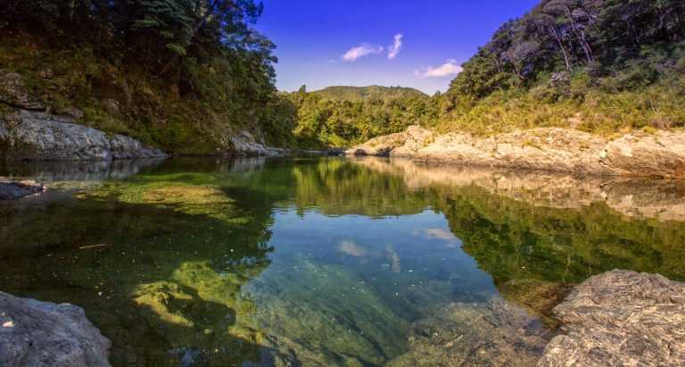 Pelorus River, New Zealand