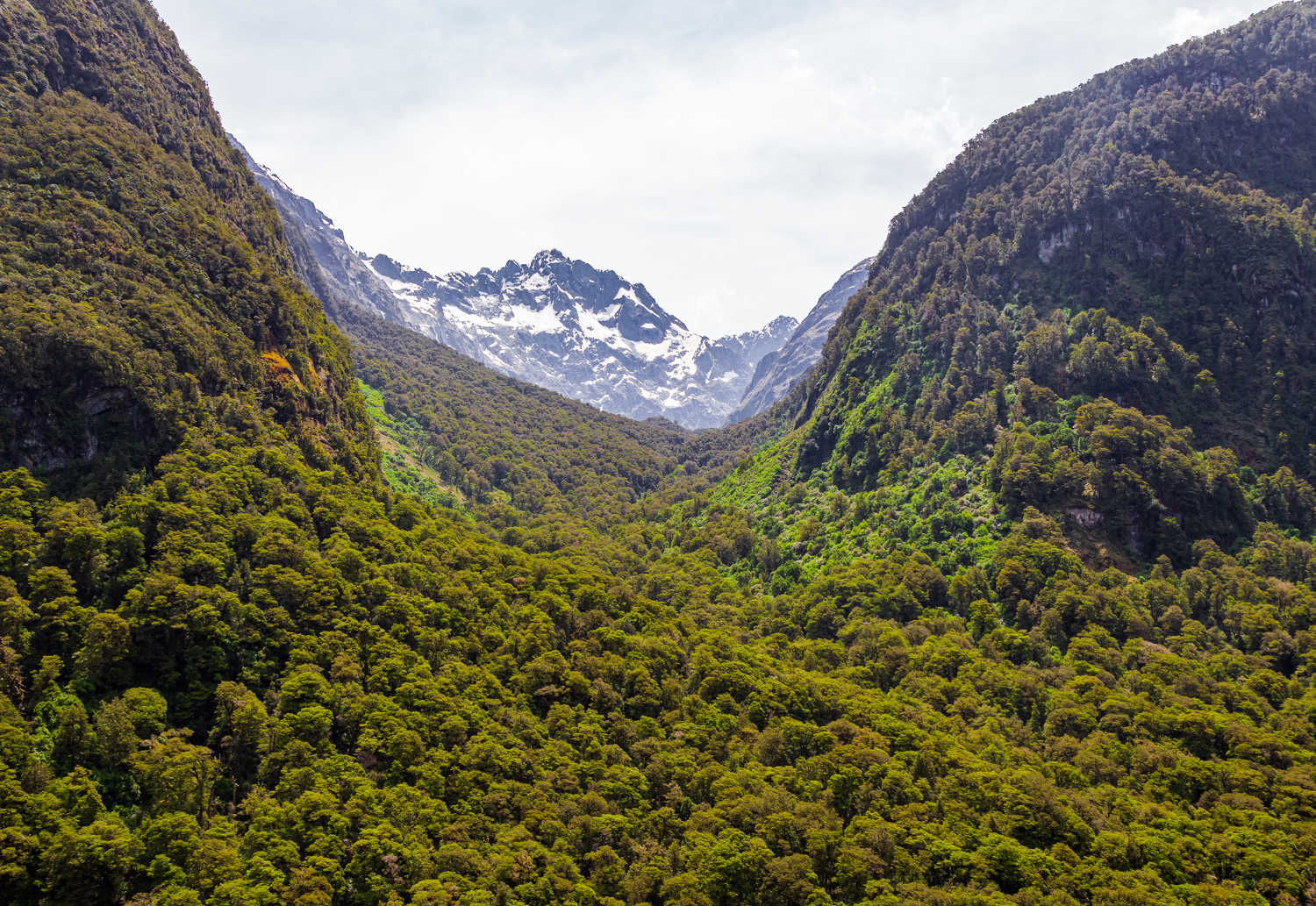 Pop`s view lookout. Landscapes of Fiordland National Park, South Island, New Zealand