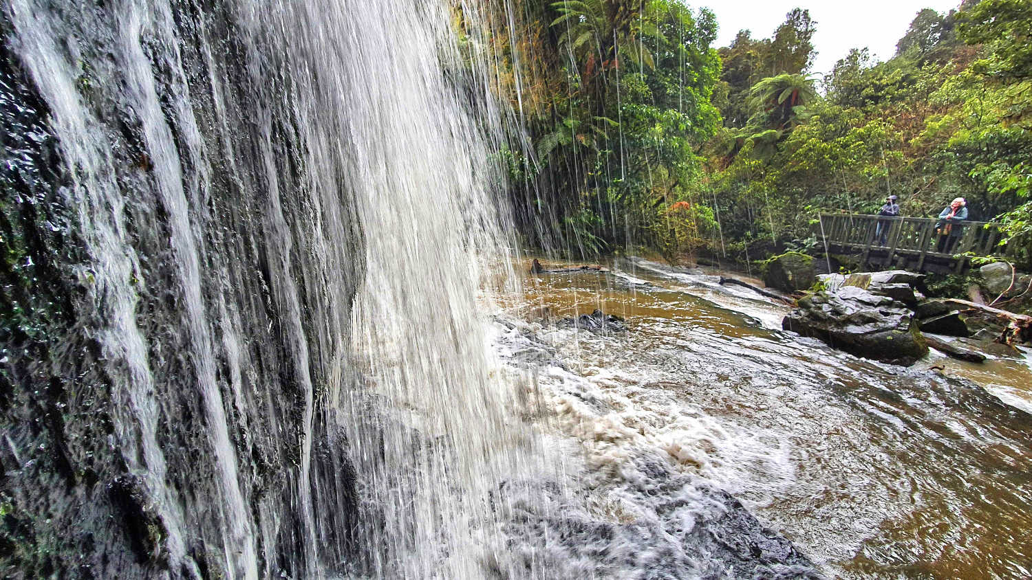 Purakaunui Falls waterfalls, The Catlins lower lookout