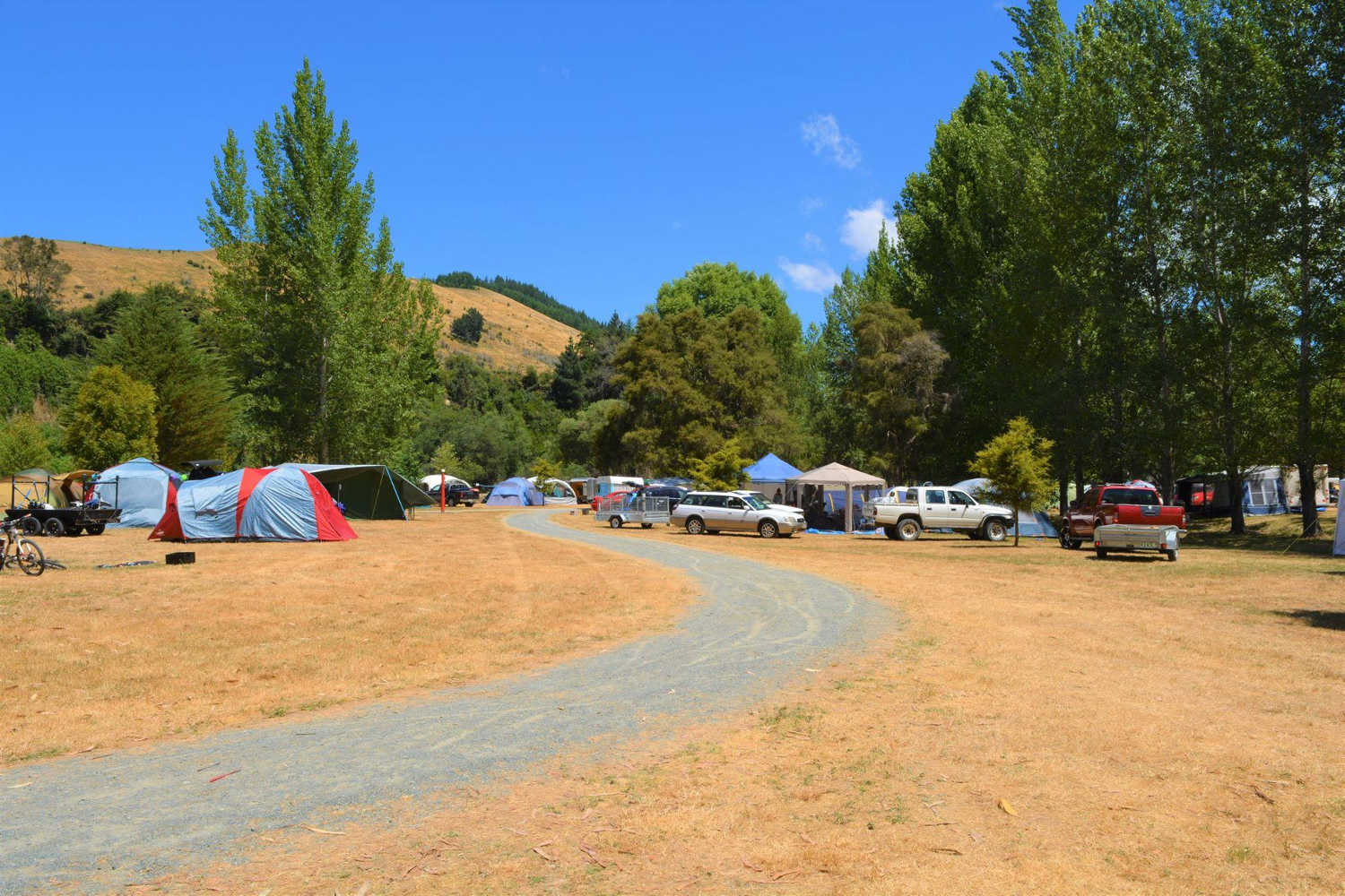 Quinney's Bush Camp, New Zealand @Auckland i-SITE