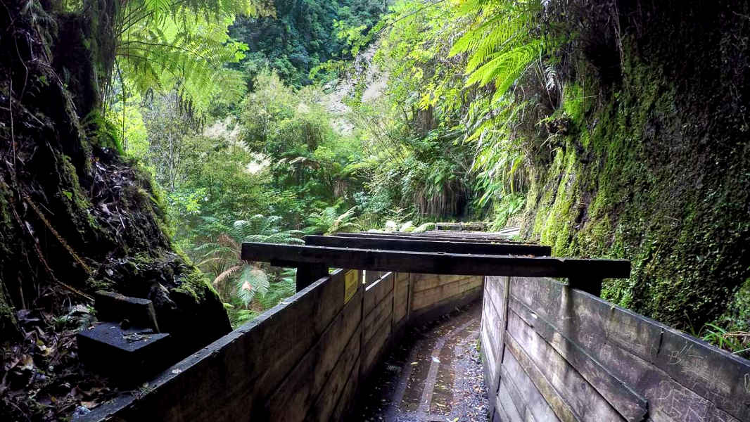 Tatare tunnel, New Zealand @Freewalks