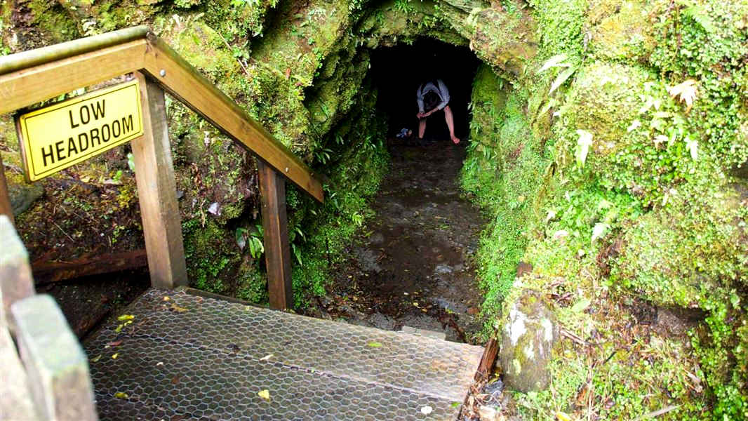 Tatare Tunnels, New Zealand @DOC / Jan Hazevoet