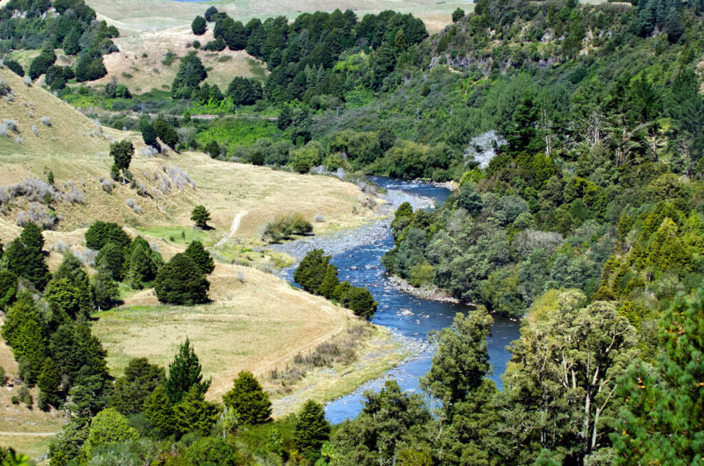 Taumarunui river in the central North Island of New Zealand