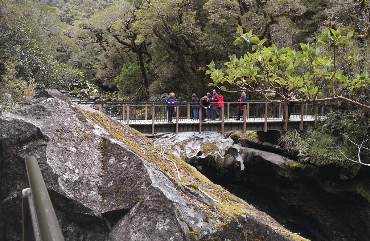 The Chasm walk, New Zealand @Benhi Dixon