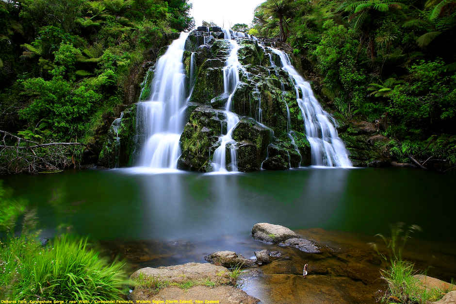 Waihi Waterfall Thames Coromandel, New Zealand @cruze