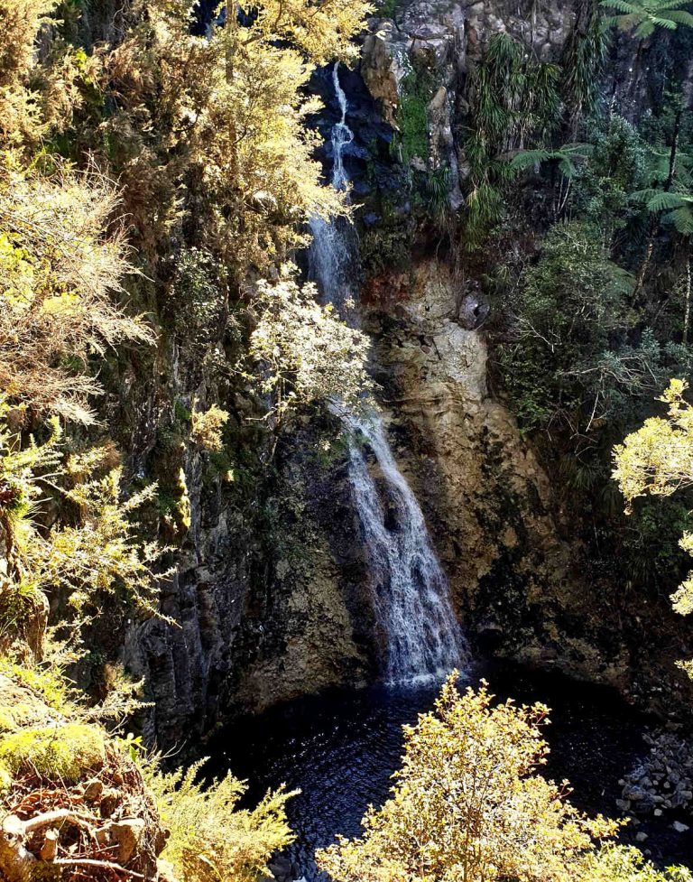 Whangarei Paranui Falls, steep steps to Falls, New Zealand