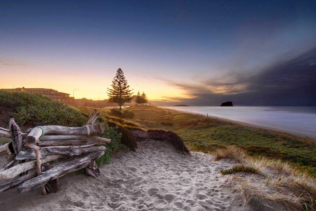 Driftwood bench seat on sand dunes overlooking Mount Maunganui Beach, New Zealand
