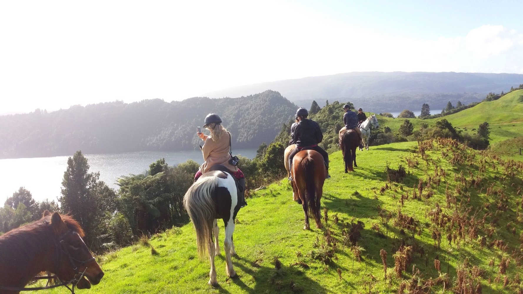 Horse Trekking Lake Okareka, New Zealand @Rotorua NZ