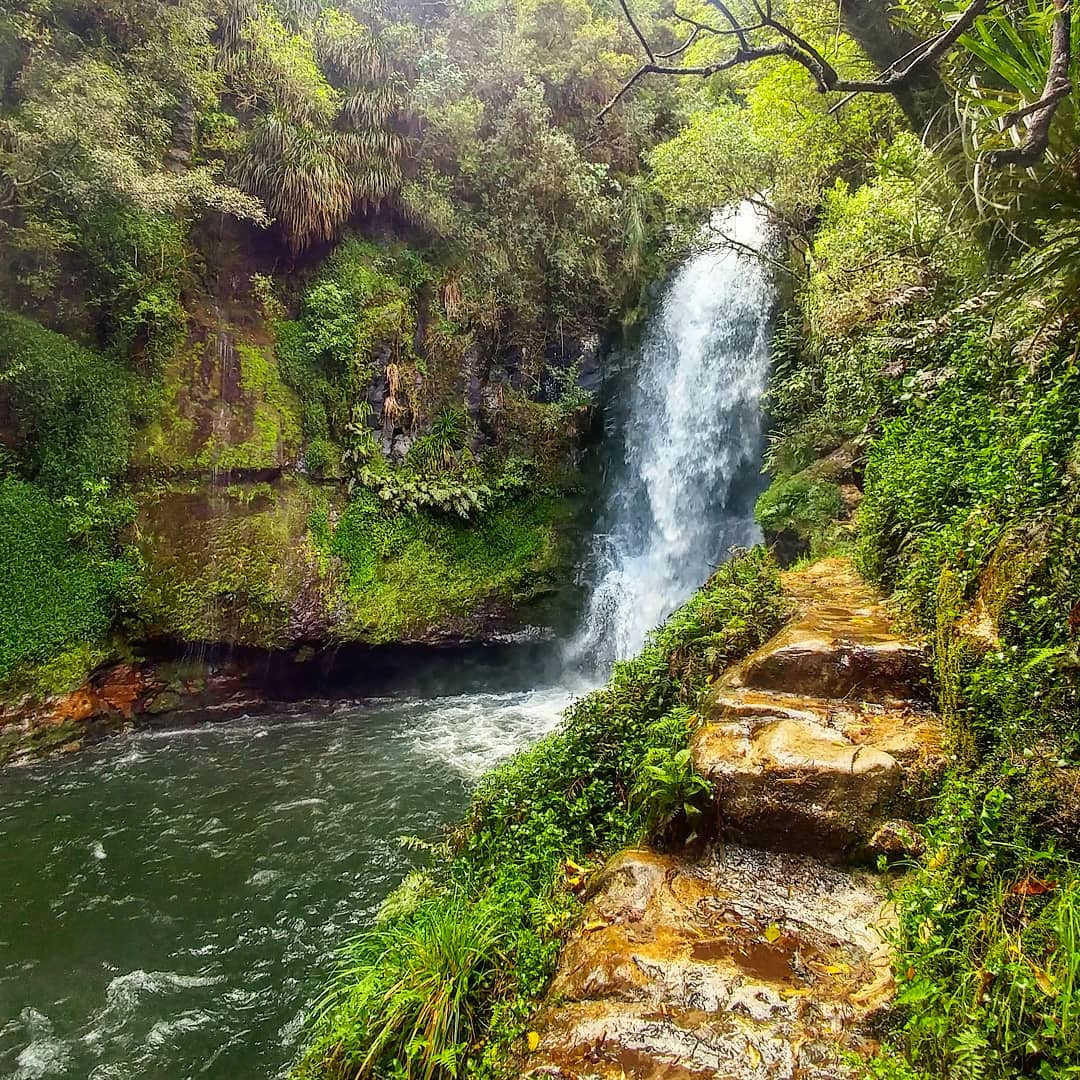 Kaiate Falls, New Zealand @annettsphotos