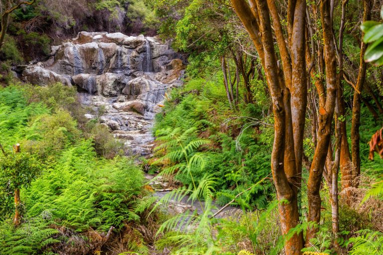 Kakahi Falls, Hells Gate geothermal park, Rotorua, North island of New Zealand